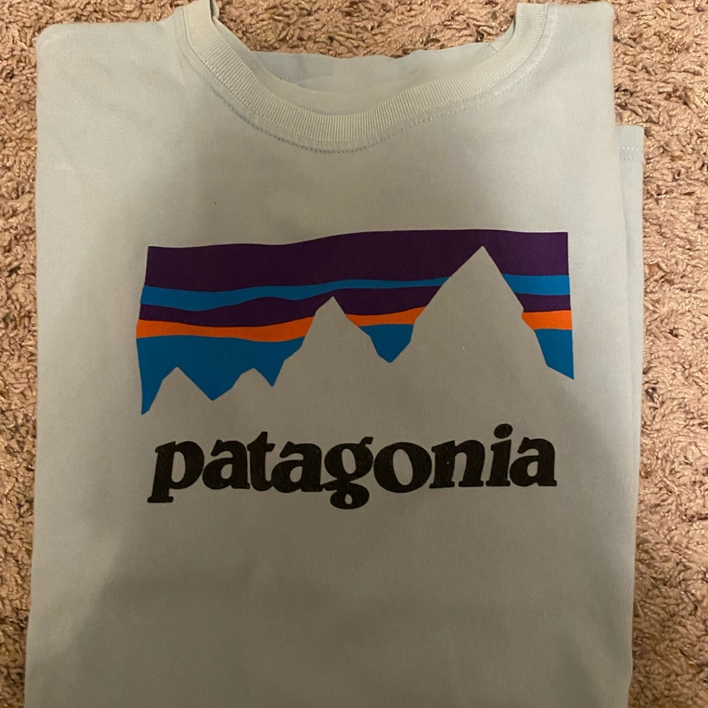 patagonia tee shirt